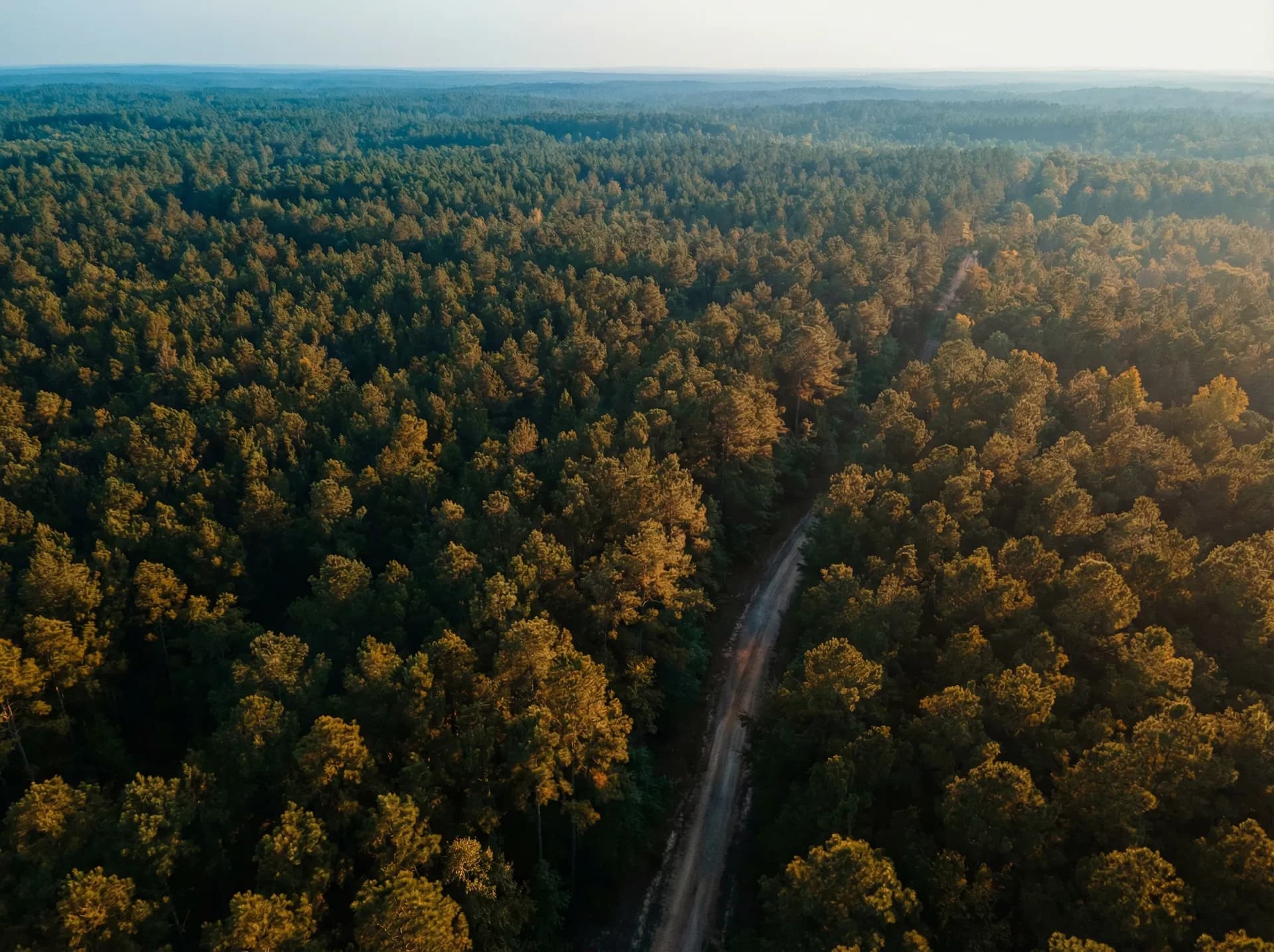 Nacogdoches County, Texas